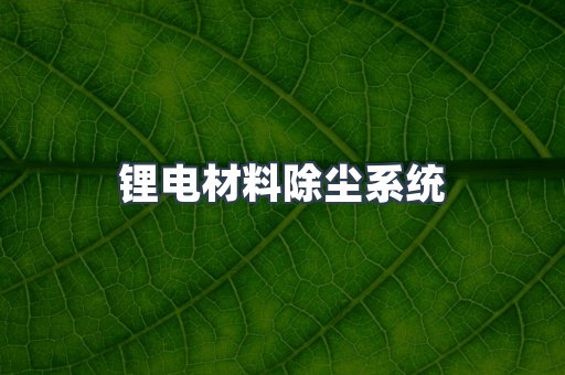 锂电材料除尘系统